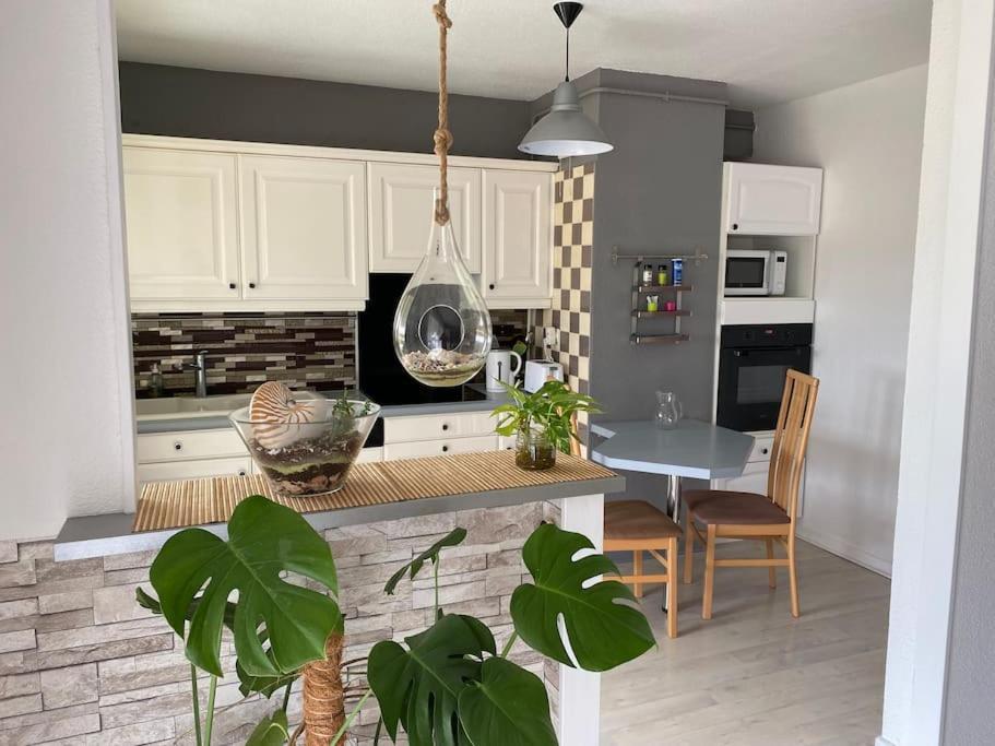 T3 Centre A 8 Min A Pied Avec Place Parking * Perpignan